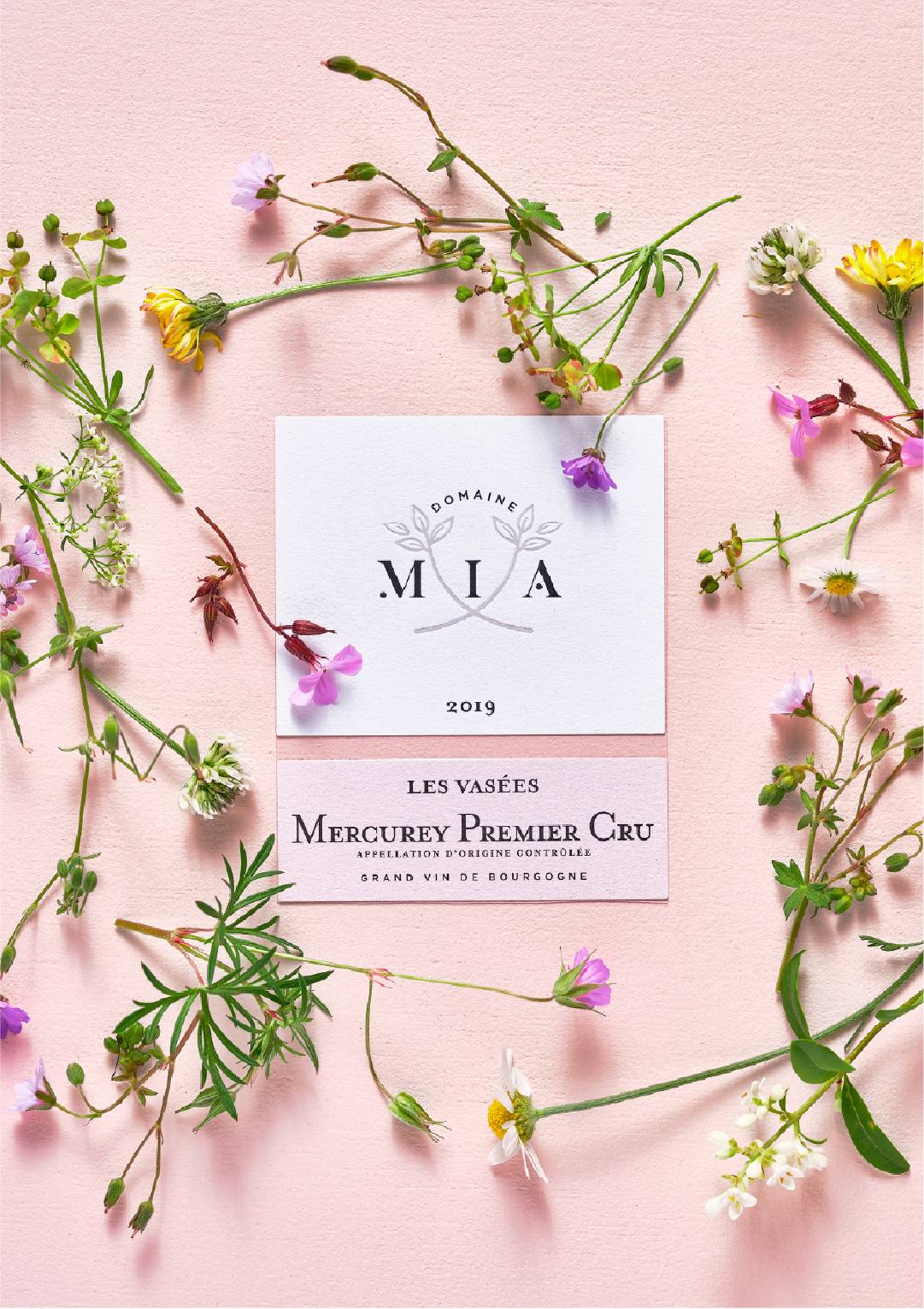 Création identité de marque globale